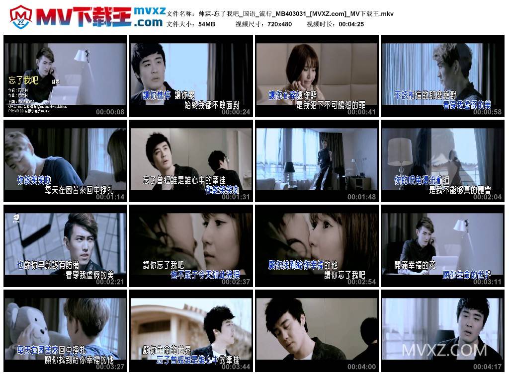 帅霖-忘了我吧_国语_流行_MB403031